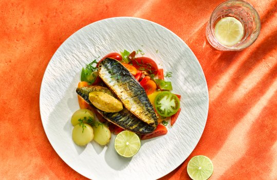 Aerial food photograph of two charred mackerel fillets with tomato and herb salad and steamed potatoes, shot on a red stone background alongside a glass of sparkling water