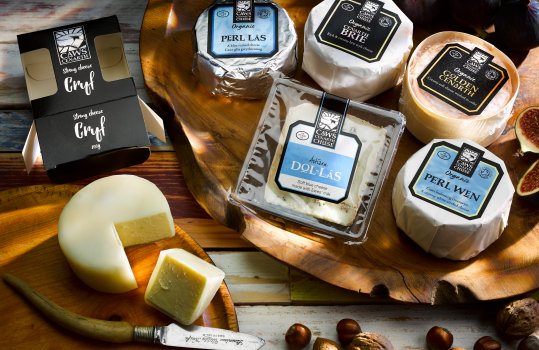 Food photograph of a selection of Welsh artisanal cheeses, Perl Las, Perl Wen, Golden Cenarth, Dol Las & Cryf; shot on dark wooden boards with grapes and scattered nuts, in Autumnal light