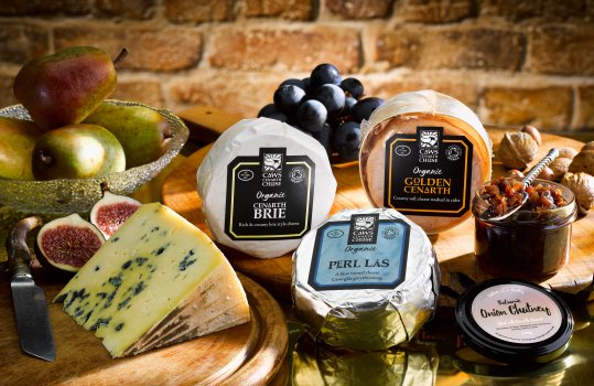 Food photograph of a selection of Welsh artisanal cheeses, Perl Las, Golden Cenarth, Brie; shot on a reflective brass tabletop with grapes, figs and scattered nuts, in Autumnal light