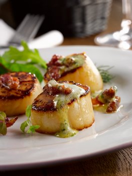 Food photograph close up of three golden seared scallops topped with crispy bacon lardons and foaming herb butter, shot on a white plate in a restaurant setting