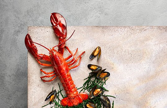 Aerial food photograph of a fresh whole Welsh lobster alongside steamed Welsh mussels and samphire, shot on a pink grey background