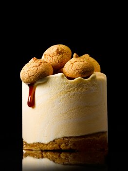 Food photograph close up of an ice cream cake with a biscuit base, topped with amaretti biscuit and caramel sauce