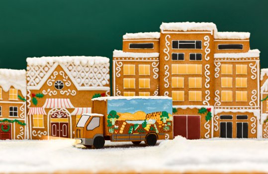 Photograph of a gingerbread village as well as a gingerbread delivery truck. Snow is covering the buildings and the road.